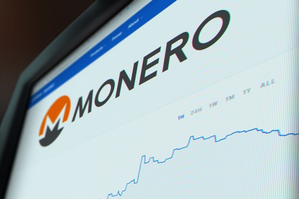 Addressing Privacy Concerns: An Exploration of Monero