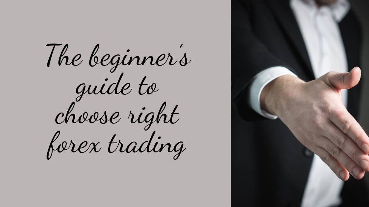 5 Essential Tips for Forex Trading Beginners: Mastering the Market