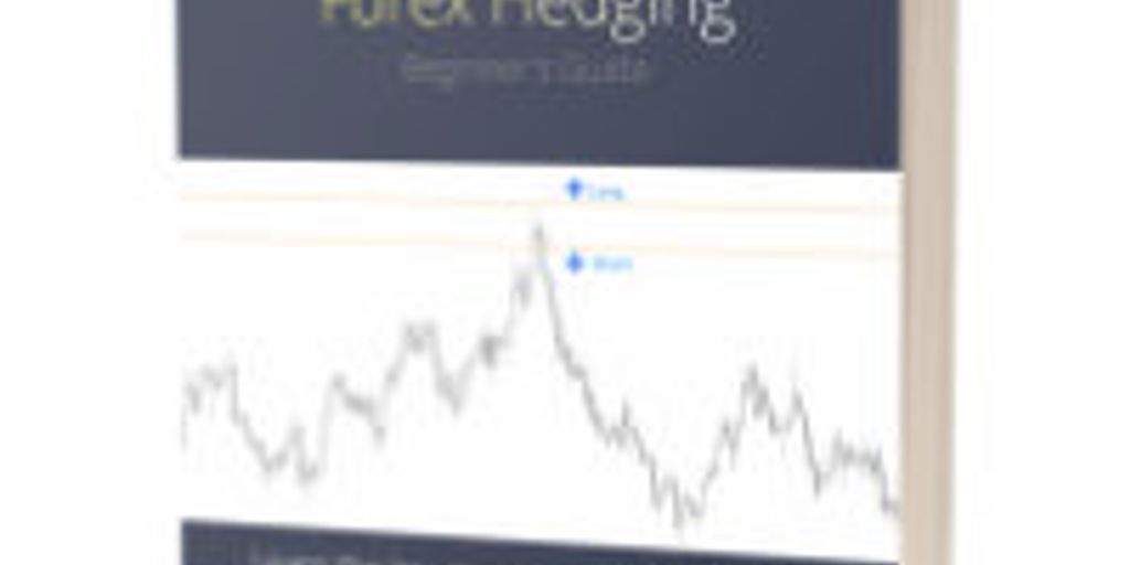 forex trading strategy with hedging concept